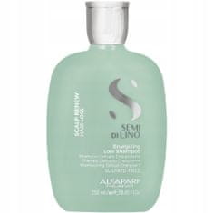 Alfaparf Milano Energizující šampon proti vypadávání vlasů 250 ml