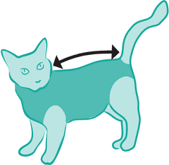 Suitical Pooperační ochranné oblečení pro kočku 40 - 45cm